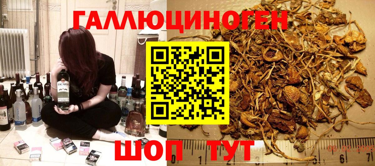 Галлюциногенные грибы MAGIC MUSHROOMS  Псилоцибиновые грибы Magic Shrooms  Саянск  Вход с VPN 
